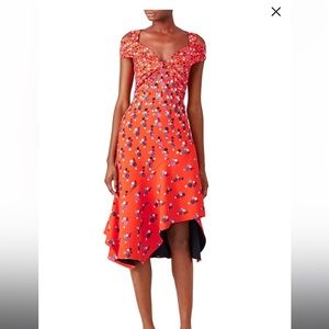 EUC Peter Pilotto Minnie dress, size 4